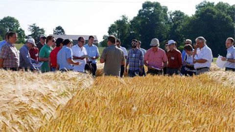 La délégation des visiteurs européens était composée de représentants des grandes marques de bières telles que « Heineken » et « Carlsberg » ainsi que des représentants d'obtenteurs proposant des semences d'orges brassicoles. © Dijon céréales La délégation des visiteurs européens était composée de représentants des grandes marques de bières telles que « Heineken » et « Carlsberg » ainsi que des représentants d'obtenteurs proposant des semences d'orges brassicoles. © Dijon céréales