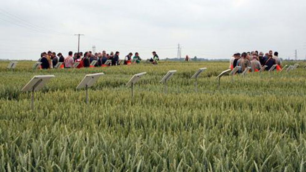 Ce mini-salon au champ qui a mobilisé une grande partie des équipes de la coopérative, mais aussi une quarantaine de partenaires, se déroulait sur une plate-forme de 20 hectares. © B. CAILLIEZ Ce mini-salon au champ qui a mobilisé une grande partie des équipes de la coopérative, mais aussi une quarantaine de partenaires, se déroulait sur une plate-forme de 20 hectares. © B. CAILLIEZ