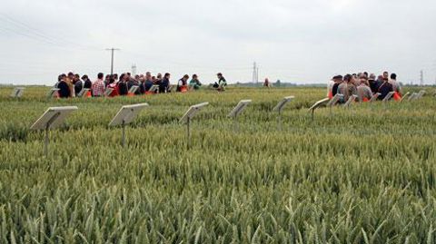 Ce mini-salon au champ qui a mobilisé une grande partie des équipes de la coopérative, mais aussi une quarantaine de partenaires, se déroulait sur une plate-forme de 20 hectares. © B. CAILLIEZ Ce mini-salon au champ qui a mobilisé une grande partie des équipes de la coopérative, mais aussi une quarantaine de partenaires, se déroulait sur une plate-forme de 20 hectares. © B. CAILLIEZ Ce mini-salon au champ qui a mobilisé une grande partie des équipes de la coopérative, mais aussi une quarantaine de partenaires, se déroulait sur une plate-forme de 20 hectares. © B. CAILLIEZ Ce mini-salon au champ qui a mobilisé une grande partie des équipes de la coopérative, mais aussi une quarantaine de partenaires, se déroulait sur une plate-forme de 20 hectares. © B. CAILLIEZ