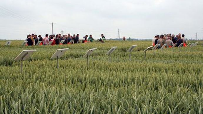 Ce mini-salon au champ qui a mobilisé une grande partie des équipes de la coopérative, mais aussi une quarantaine de partenaires, se déroulait sur une plate-forme de 20 hectares. © B. CAILLIEZ Ce mini-salon au champ qui a mobilisé une grande partie des équipes de la coopérative, mais aussi une quarantaine de partenaires, se déroulait sur une plate-forme de 20 hectares. © B. CAILLIEZ