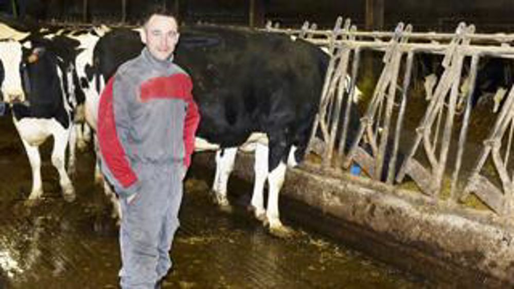 Thibaut Leroux a noté des différences de comportement de ses vaches.