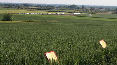 L'Ucal et Eurea sont en train de mettre leurs plates-formes d'essais en commun. L'Ucal et Eurea sont en train de mettre leurs plates-formes d'essais en commun.