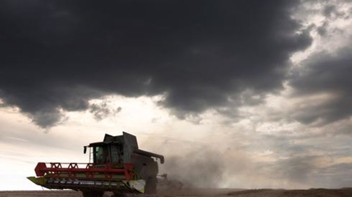 L'enjeu est de prioriser les chantiers pour faire rentrer à temps les blés ou les colzas présentant encore de bonnes qualités. © C. THIRIET L'enjeu est de prioriser les chantiers pour faire rentrer à temps les blés ou les colzas présentant encore de bonnes qualités. © C. THIRIET