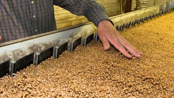 Un certain nombre d'OS se sont équipés cet été en tables densimétriques supplémentaires afin de donner une chance à des blés fourragers de devenir blés intermédiaires. © CHRISTIAN WATIER Un certain nombre d'OS se sont équipés cet été en tables densimétriques supplémentaires afin de donner une chance à des blés fourragers de devenir blés intermédiaires. © CHRISTIAN WATIER