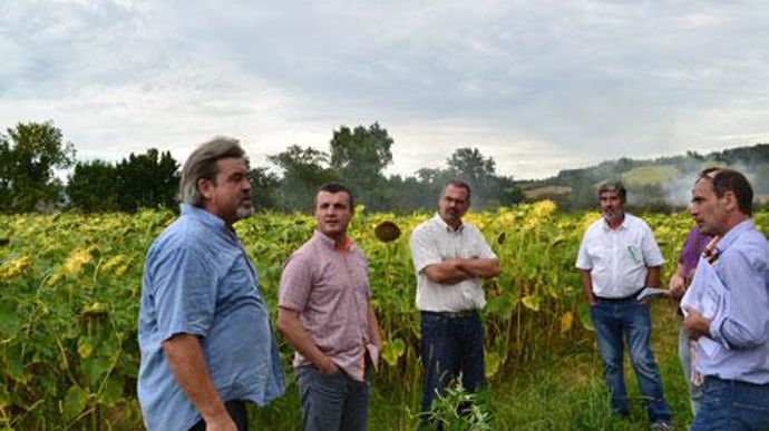 De gauche à droite, Laurent Pysz, agriculteur, Denis Mousteau, directeur Agro-Environnement de Val de Gascogne et Franck Duroueix, du Cetiom, ont évoqué la gestion des problèmes posés par le datura, « du champ à la bouteille d'huile ». De gauche à droite, Laurent Pysz, agriculteur, Denis Mousteau, directeur Agro-Environnement de Val de Gascogne et Franck Duroueix, du Cetiom, ont évoqué la gestion des problèmes posés par le datura, « du champ à la bouteille d'huile ».