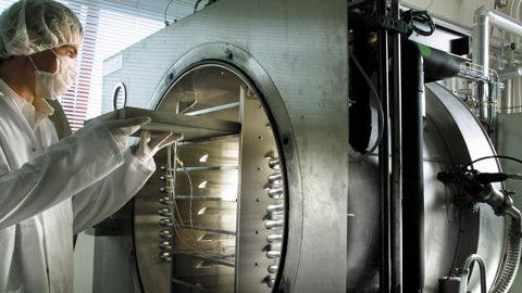 L’Europe devrait capter 41 % du marché des biostimulants, avec une croissance annuelle en moyenne d’environ 12 %. © BIOVITIS