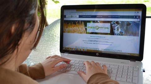 Euralis souhaite que ses adhérents privilégient les commandes de produits de réapprovisionnement sur le portail mesappros.com. © F. JACQUEMOUD