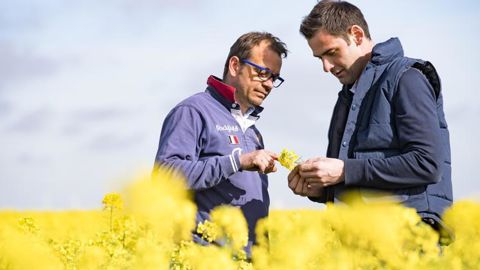 Avec la vente de grains de colza à Saipol, trente agriculteurs ont touché un « bonus bas GES » autour de 20 € par tonne. © AXÉRÉAL