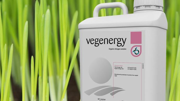 Vegenergy contient 23 % d’acides L-α libres, d’origine végétale.