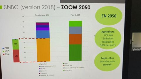 Introduite par la loi de Transition énergétique pour la croissance verte, la stratégie nationale bas-carbone (SNBC) est la feuille de route de la France pour lutter contre le changement climatique.