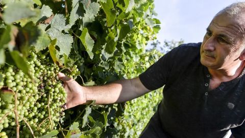 Avec un IFT conventionnel de zéro, le pack LB-L rentre dans de nombreux cahiers des charges. © LAURENT WANGER
