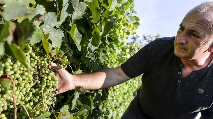 Avec un IFT conventionnel de zéro, le pack LB-L rentre dans de nombreux cahiers des charges. © LAURENT WANGER