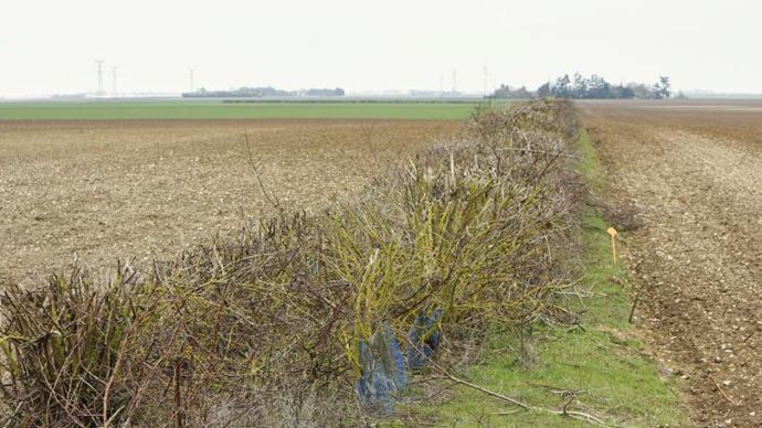 Une centaine d’agriculteurs a été interrogée afin de réaliser ce guide ; 87 pratiques ont été identifiées et traduites sous forme de 9 fiches techniques. © C. FAIMALI