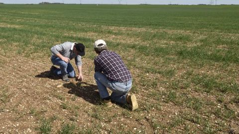 Les vendeurs de produits phytosanitaires pourront toujours faire du conseil au champ. © C. FAIMALI