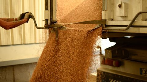 La version RCNA international sera la seule reconnue en France à partir de l’an prochain. Elle comporte la certification obligatoire de tous les fournisseurs de matières premières. © SOLENN DELHAYE-BOLOH