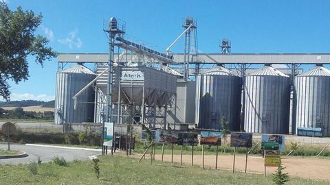 La plupart des légumes secs qui seront transformés en farines seront collectés auprès des adhérents d’Arterris. © ARTERRIS