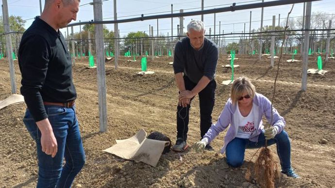 Anne-Laure et Gilles Arramon (à dr.), nouveaux producteurs de kiwis à Bournos (Pyrénées-Atlantiques), ont planifié le partage des tâches : Anne-Laure supervisera l’éclaircissage et la taille en mai, pendant que Gilles assurera les semis de maïs. Cédric Brana, responsable de la filière kiwi chez Euralis (à g.), les a aidés à monter leur projet. © EURALIS