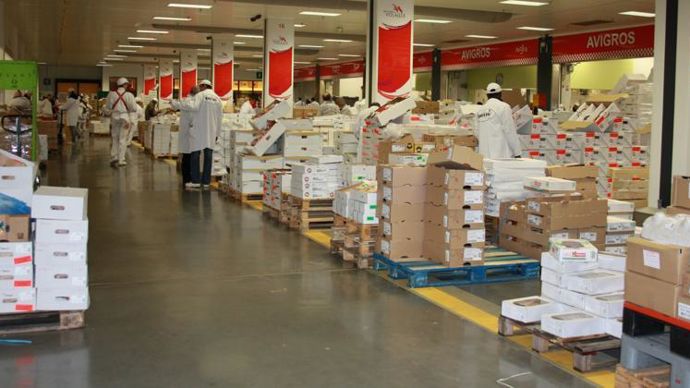 L’activité de négoce de volaille d’Agrial est renforcée par l’acquisition du volailler Reilhe Martin. Elle passera de 30 000 t commercialisées par Avigros (photo), déjà dans le giron du groupe, à un potentiel de 5 000 t de viande supplémentaire. © AVIGROS