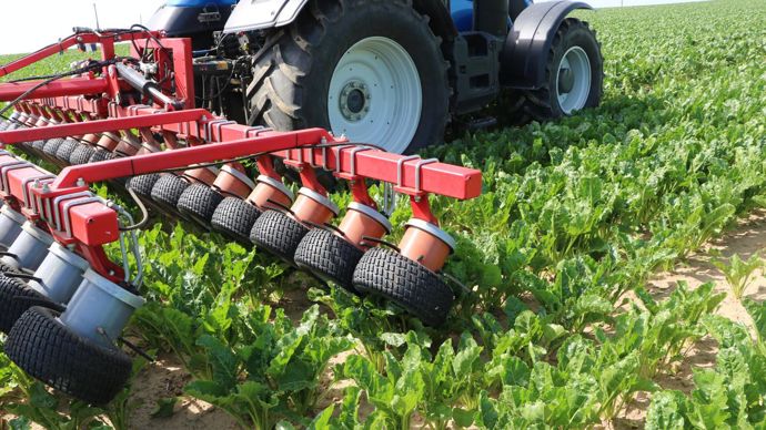 Unéal teste une machine Klünder avec des petites roues équipées de pneus pour appréhender au-dessus de la culture les chénopodes, par exemple dans les betteraves, dans les parcelles où le désherbage n’a pas été réussi. © B. CAILLIEZ