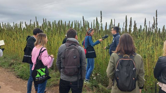 Philippe Pluquet, responsable technique productions végétales chez Noriap, ici interrogé par une journaliste le 15 septembre à Fricamps : « Le débouché essentiel du chanvre est le grain, mais le béton de chanvre pourrait constituer une solution intéressante pour l’utilisation de la paille. »