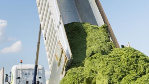 Entre 2019 et 2023, les volumes de luzerne travaillés par Sidésup auront plus que doublé. 