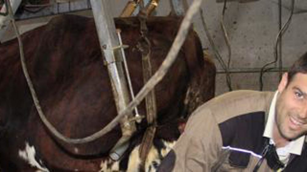 Florian Ernaulta investi 4 500 € dans une cage de parage avec relevage électrique. Elle est installée en sortie de roto dans un espace dédié. « Le parage prend du temps. Il faut faire en sorte que cela ne soit pas une corvée. » j.p.