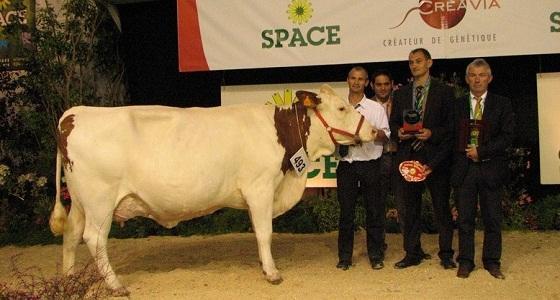 Palmarès de la race montbéliarde.