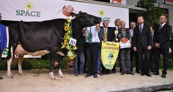 Bounty Grande Championne du Space