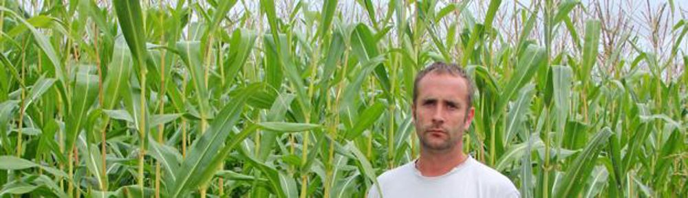 Depuis cinq ans, Julien Legendre sème environ 8 ha de maïs d’indice 180 après la moisson pour le récolter en ensilage trois mois plus tard.D.L.