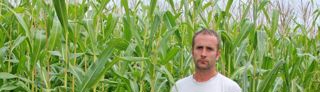 Depuis cinq ans, Julien Legendre sème environ 8 ha de maïs d’indice 180 après la moisson pour le récolter en ensilage trois mois plus tard.D.L. Depuis cinq ans, Julien Legendre sème environ 8 ha de maïs d’indice 180 après la moisson pour le récolter en ensilage trois mois plus tard.D.L.
