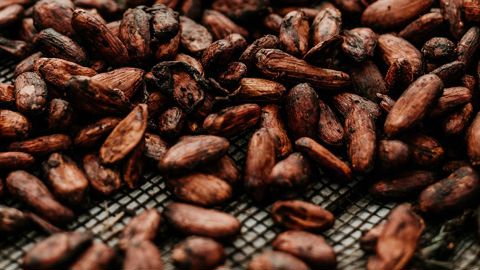 L’agriculture biologique et le commerce équitable sont les deux piliers d’un cacao durable. L’agriculture biologique et le commerce équitable sont les deux piliers d’un cacao durable.