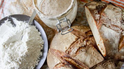 La fermentation au levain est considérée comme un facteur possible de réduction de la glycémie et de meilleure digestibilité du gluten et des phytates. © A. Dufumier