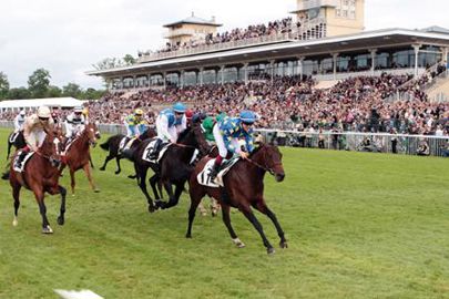 Saonois, le jeune pur-sang de moins de 3 ans, monté par Antoine Hamelin, un jeune jockey de 20 ans. (Photo : latoque.fr) Saonois, le jeune pur-sang de moins de 3 ans, monté par Antoine Hamelin, un jeune jockey de 20 ans. (Photo : latoque.fr) Saonois, le jeune pur-sang de moins de 3 ans, monté par Antoine Hamelin, un jeune jockey de 20 ans. (Photo : latoque.fr) Saonois, le jeune pur-sang de moins de 3 ans, monté par Antoine Hamelin, un jeune jockey de 20 ans. (Photo : latoque.fr)