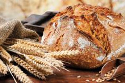Un bon régime alimentaire sait apporter les parts nécessaires de vitamines, oligo-éléments, fibres... (Photo : latoque.fr) Un bon régime alimentaire sait apporter les parts nécessaires de vitamines, oligo-éléments, fibres... (Photo : latoque.fr)