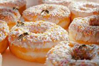 Les abeilles sont attirées par le sucre des pâtisseries lorsque les fleurs viennent à manquer. (Photo : latoque.fr) Abeilles sur des pâtisseries. (Photo : latoque.fr) Les abeilles sont attirées par le sucre des pâtisseries lorsque les fleurs viennent à manquer. (Photo : latoque.fr) Abeilles sur des pâtisseries. (Photo : latoque.fr)