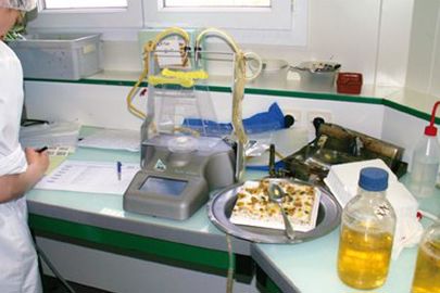 Les services des fraudes peuvent mettre à jour tout effondrement du niveau d'hygiène général consécutif à l'introduction d'un animal au laboratoire. (Photo : latoque.fr) Les services des fraudes peuvent mettre à jour tout effondrement du niveau d'hygiène général consécutif à l'introduction d'un animal au laboratoire. (Photo : latoque.fr) Les services des fraudes peuvent mettre à jour tout effondrement du niveau d'hygiène général consécutif à l'introduction d'un animal au laboratoire. (Photo : latoque.fr) Les services des fraudes peuvent mettre à jour tout effondrement du niveau d'hygiène général consécutif à l'introduction d'un animal au laboratoire. (Photo : latoque.fr)