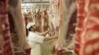 L'interdiction d'importation de viande issue de la déforestation est une avancée majeure pour Interbev. L'interdiction d'importation de viande issue de la déforestation est une avancée majeure pour Interbev.