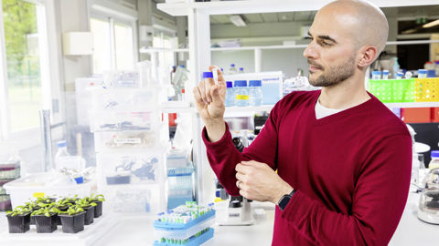 Thomas Laurent, CEO de Micropep Technologies (ici, avec un échantillon de micropeptides), déclare : « Ce partenariat avec FMC permettra d'accélérer la mise à disposition de solutions plus durables. »