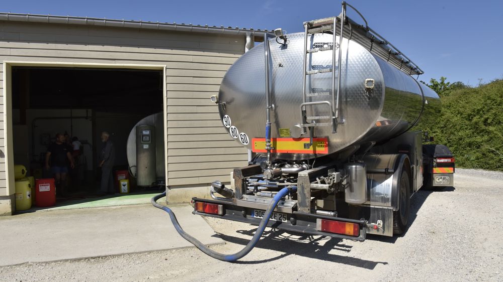 La collecte de lait de vache progresse au mois d'octobre en France et en Europe sur un an.