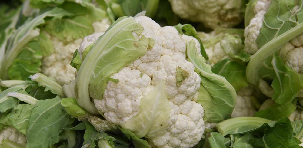 La production nationale de choux-fleurs augmente de 8 % sur un an grâce au retour des pluies.