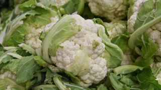 La production nationale de choux-fleurs augmente de 8 % sur un an grâce au retour des pluies. La production nationale de choux-fleurs augmente de 8 % sur un an grâce au retour des pluies.