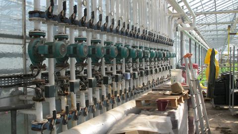 Le coût de l’énergie est en train de déstabiliser certaines cultures sous serres. Mais les délestages annoncés sur l’électricité et le gaz inquiètent aussi fortement…