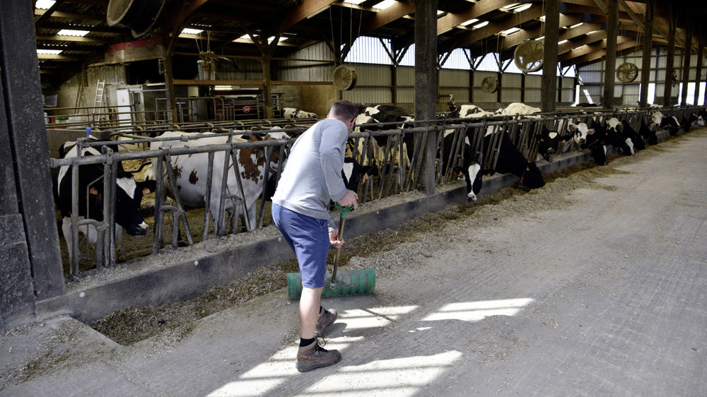Les coûts de production sont prévus à la hausse, suivant la courbe des prix de l’énergie.