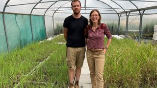 Guillaume Leriche a mis en place un procédé de multiplication de plants de miscanthus en motte, produits en plaques horticoles sous serre, soutenu par son épouse Mathilde, salariée de l"exploitation. Guillaume Leriche a mis en place un procédé de multiplication de plants de miscanthus en motte, produits en plaques horticoles sous serre, soutenu par son épouse Mathilde, salariée de l"exploitation.
