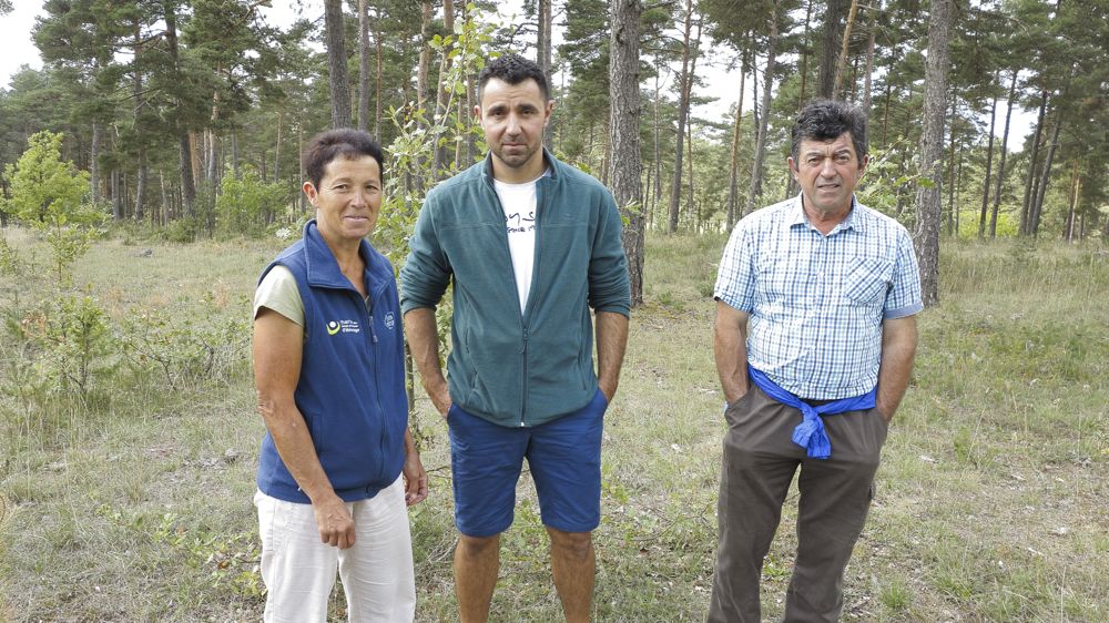 Dans cette parcelle de 4,5 ha éclaircie il y a quinze ans, Marie-Rose, Hervé et Gérard Raynal (de gauche à droite) font pâturer les agnelles l'été et les brebis taries à l'automne.