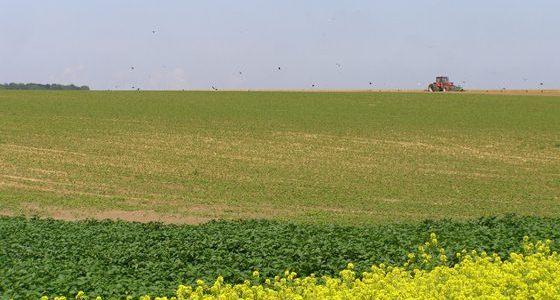 Oxfam veut lutter contre l'accaparement des terres par des investissements privés dans les pays du Sud. 
