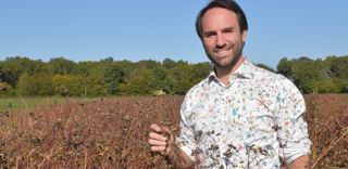 Au domaine des Bruyères, Julien de Clédat privilégie les cultures hautes, comme le sarrasin, qui permettent de limiter l enherbement et résistent très bien à la sécheresse. Au domaine des Bruyères, Julien de Clédat privilégie les cultures hautes, comme le sarrasin, qui permettent de limiter l enherbement et résistent très bien à la sécheresse.