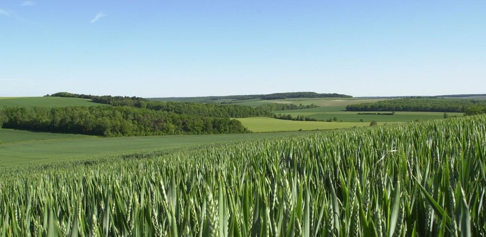 Dans la lignée de la fin 2022, la première décade de janvier 2023 est la plus douce jamais vue depuis plus de 70 ans.