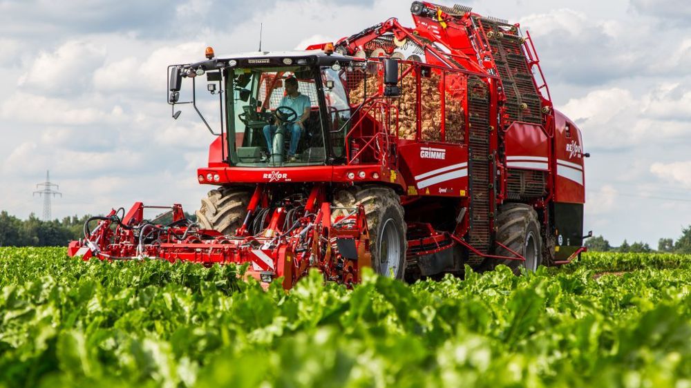 Quelles pièces d'usure à vérifier sur une arracheuse à betteraves Grimme Rexor ?