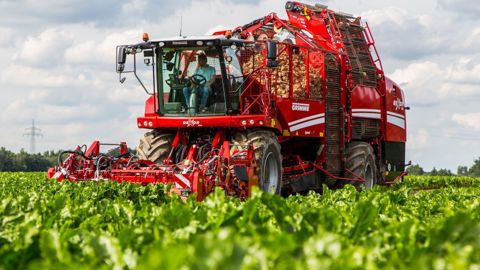 Quelles pièces d'usure à vérifier sur une arracheuse à betteraves Grimme Rexor ? Quelles pièces d'usure à vérifier sur une arracheuse à betteraves Grimme Rexor ?